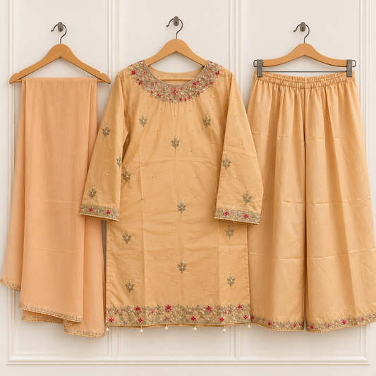 Peach Gold Embroided outfit