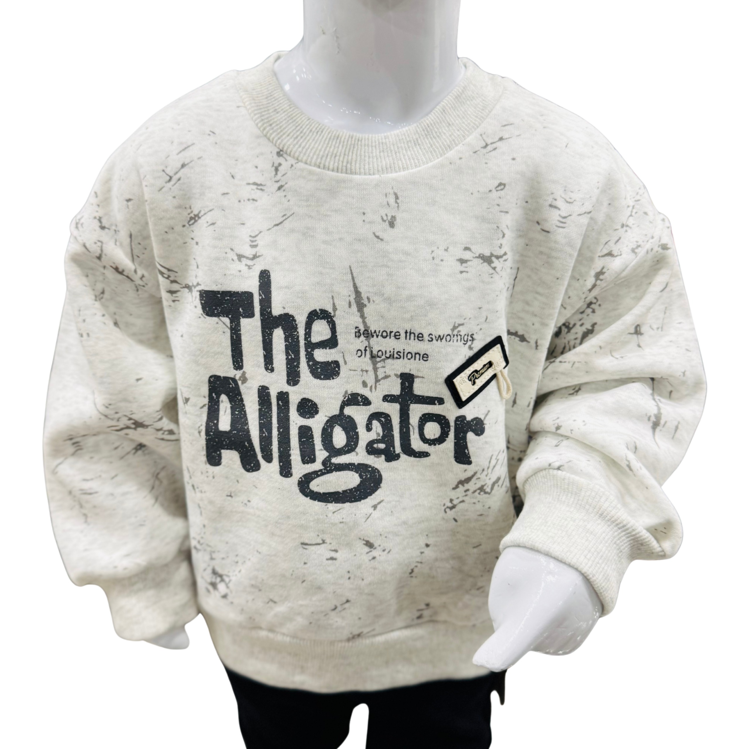 Boys Winter Sweatshirt & Trouser Set – The Alligator Print – Soft & Warm Fleece Outfit - Image 2