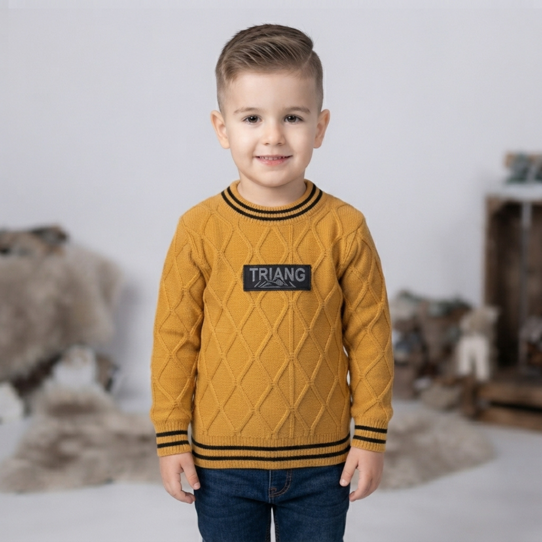 Boys Premium Cable Knit Sweater – Winter Collection